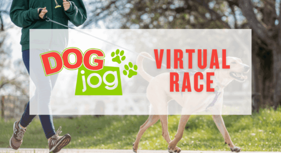 Dog jog – Virtual race
